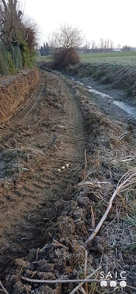 Pista ciclopedonale San Colombano nel comune Riva di Suzzara in provincia di Mantova