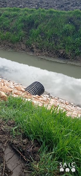 Pista ciclopedonale San Colombano nel comune Riva di Suzzara in provincia di Mantova