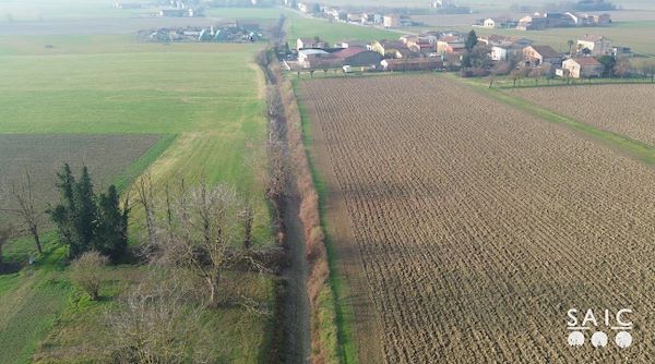 Pista ciclopedonale San Colombano nel comune Riva di Suzzara in provincia di Mantova
