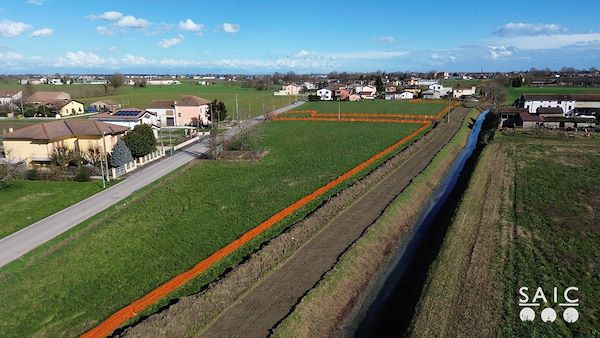 Pista ciclopedonale San Colombano nel comune Riva di Suzzara in provincia di Mantova