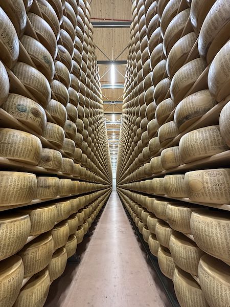 Costruzione del magazzino stagionatura del Parmigiano Reggiano