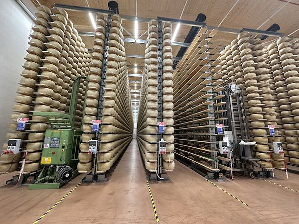 Costruzione del magazzino stagionatura del Parmigiano Reggiano